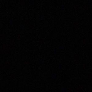 Meet your Posher, Cody